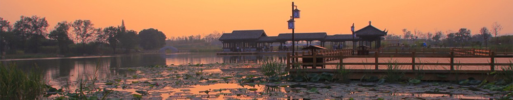 洋湖湿地自然笔记大赛今日正式启动